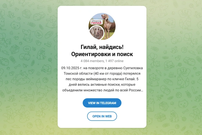 Группа, посвященная поискам Гилая | Источник: скриншот