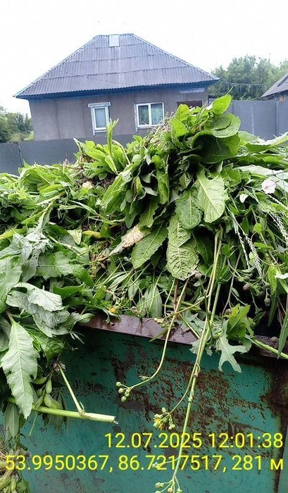 Жители могут получить информацию по вопросам обращения с ТКО по телефону 8-800-550-52-42 или на kuzro.ru | Источник: www.city-n.ru