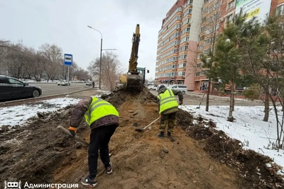 В Благовещенске модернизируют пешеходную сеть