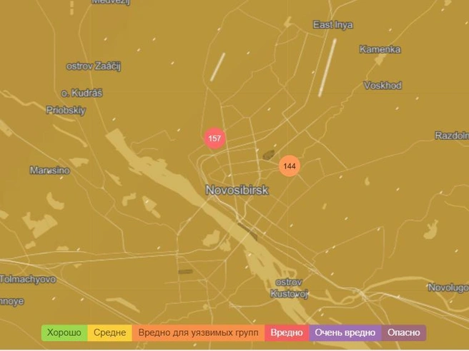 Источник: IQAi