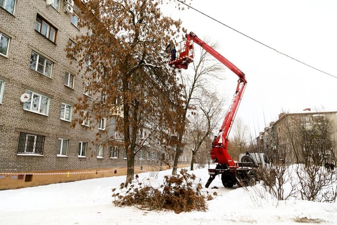 Источник: st.cherinfo.ru