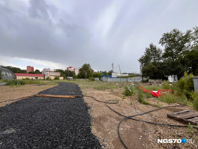 А это придомовая территория  | Источник: предоставлено Марией Щербаковой-Санду