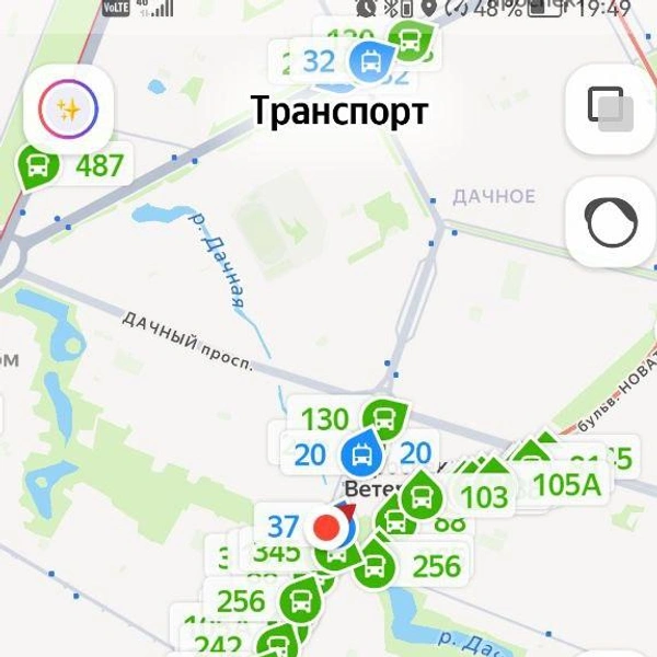 Пробка из общественного транспорта на проспекте Ветеранов | Источник: читатель «Фонтанки»