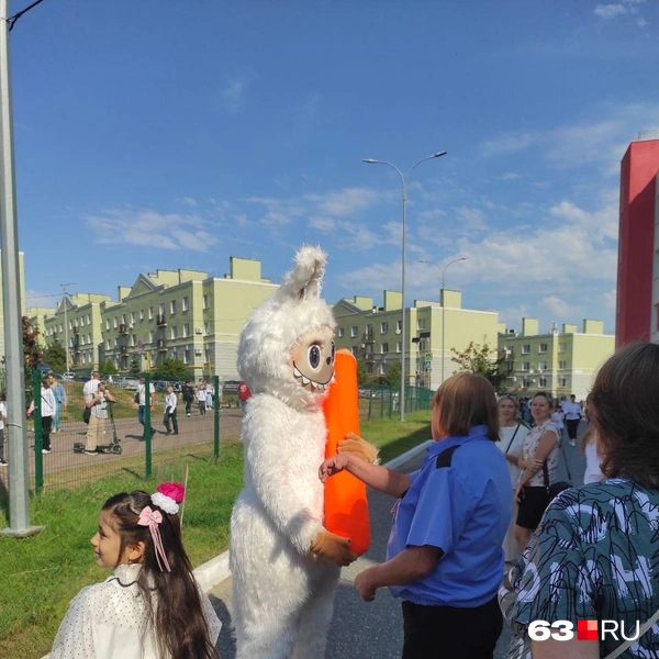 Источник: читатель 63.RU