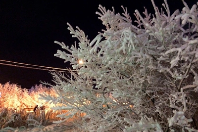 Погода в Мурманской области 15 декабря