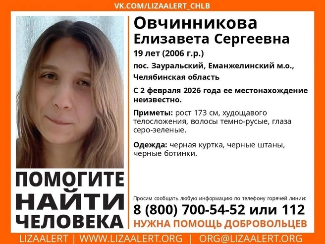 Источник: Поисковый отряд «ЛизаАлерт» Челябинской области / Vk.com