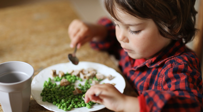 8 шагов к пробуждению вкуса: как научить ребенка питаться правильно