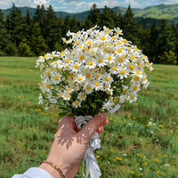 Аватарка Ларчоночек