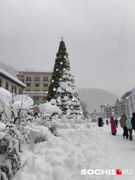 Заснеженный Эстосадок | Источник: Ирина Дружинина / SOCHI1.RU