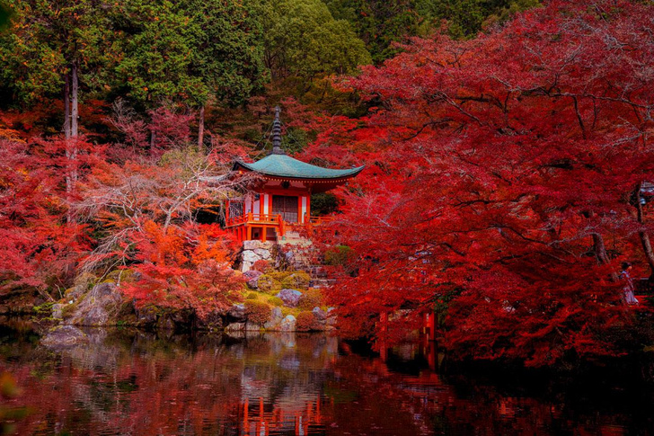 Красота по-японски: что заставляет жителей Страны восходящего солнца подчинять свою жизнь стремлению к гармонии