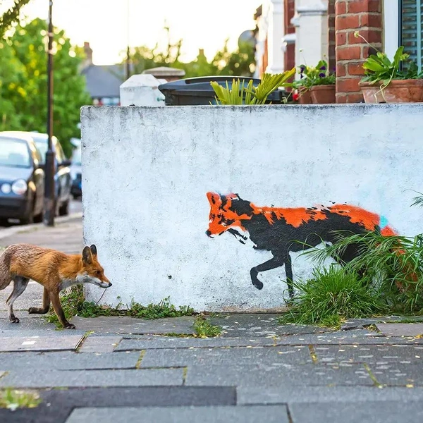 Источник: Wildlife Photographer of the Year