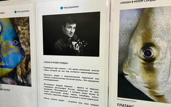 В «Москвариуме» и на Ходынском поле открылась выставка подводного фотографа