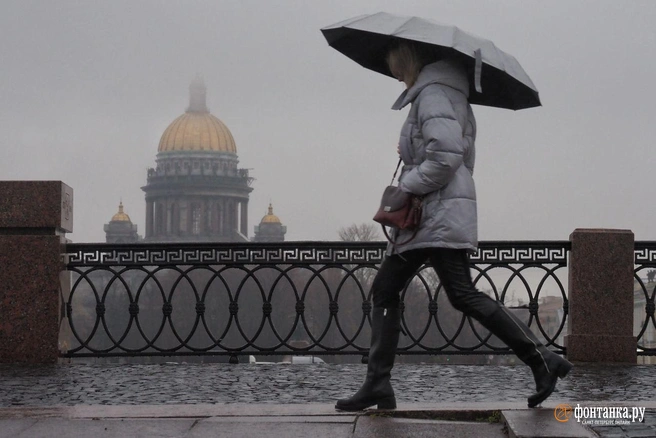 Куда пойти 7–9 ноября: выставка в «Подписных изданиях», израильское кино и праздник в «Севкабель Порту» | Источник: Михаил Огнев / «Фонтанка.ру»