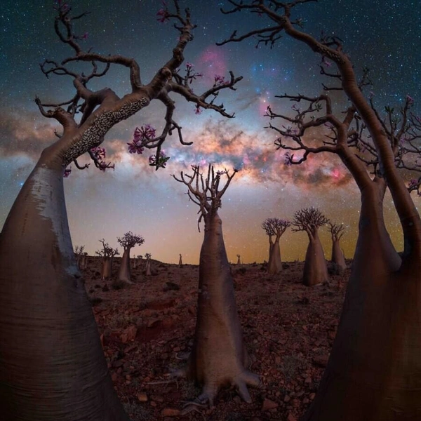 Остров Сокотра, Йемен | Источник: Benjamin Barakat / Milky Way Photographer of the Year 2025