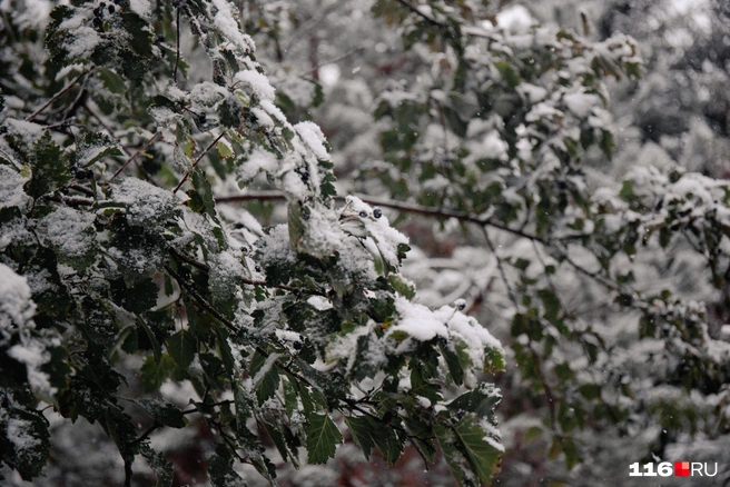 В Зауралье ожидается снег | Источник: Лина Саитова / 116.RU