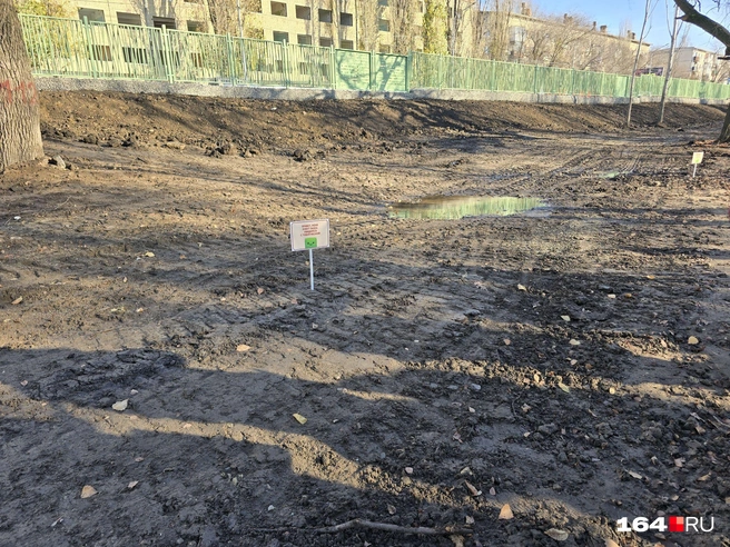 Газон есть пока не везде | Источник: Семен Коротов-Майбах / 164.RU