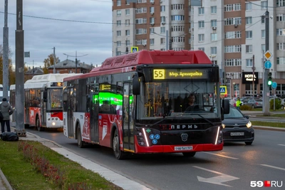 Три автобусных маршрута в Перми изменят путь
