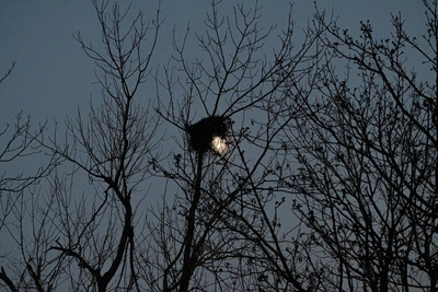 The Dalnegorsk UFO crash: a 40-year-old Russian mystery