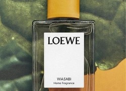 Теперь у вас дома может пахнуть васаби — новинка от Loewe