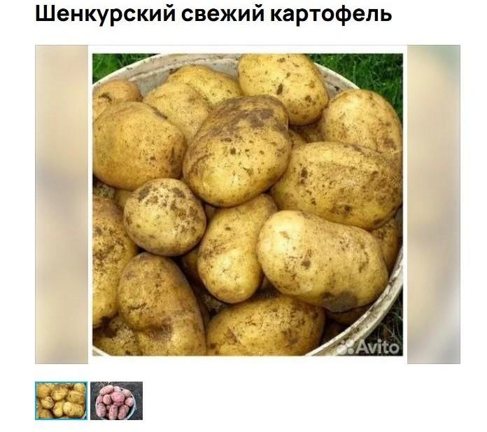 Источник: Avito.ru