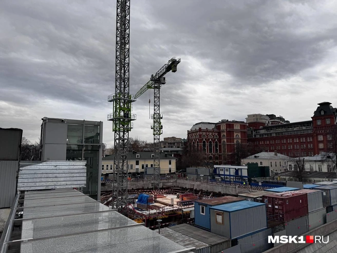 Источник: Дмитрий Толстошеев / MSK1.RU