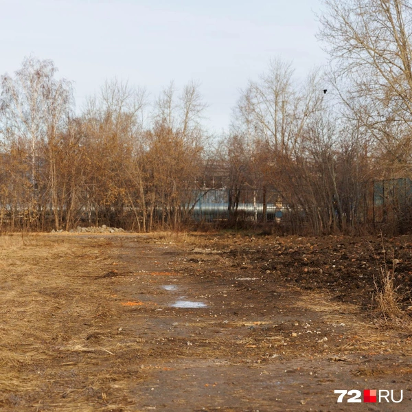 Источник: Ирина Шарова / 72.RU