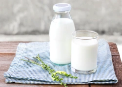 Новый суперфуд: что такое картофельное молоко и кому оно необходимо