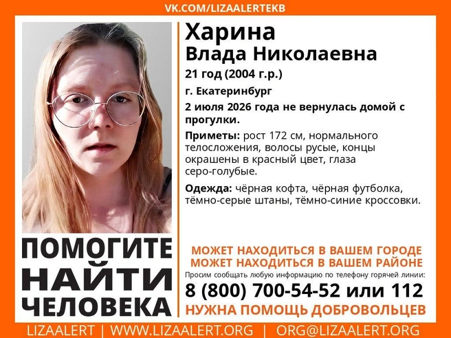 Источник: «ЛизаАлерт» / Telegram