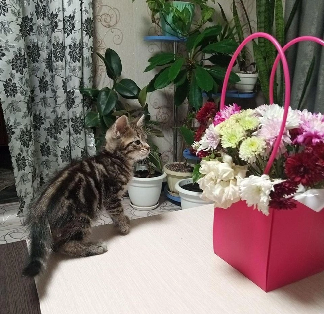 Ого, это всё мне?!  | Источник: читатель 63.RU 