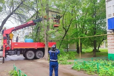 Депутаты Ульяновска проверили вырубку аварийных деревьев