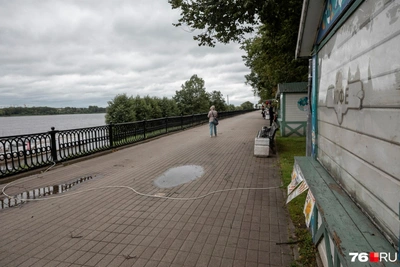 Прогноз погоды: дождливая неделя в Центральной России