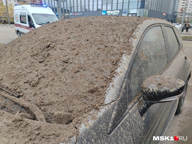 Источник: Михаил Мечев / MSK1.RU