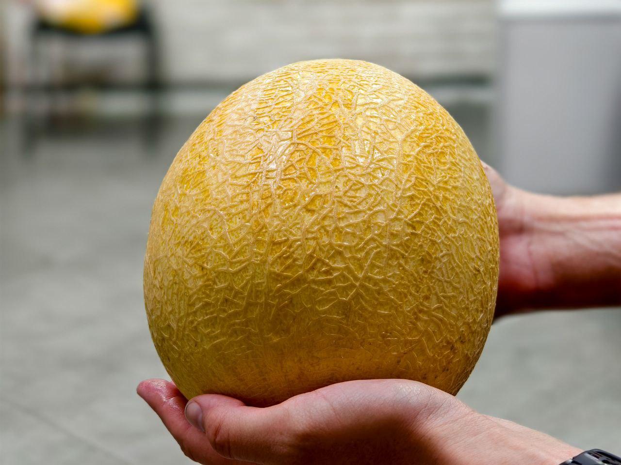 Уфу в начале лета заполонили дыни и арбузы. Прошлись по магазинам и ларькам — нашли идеал