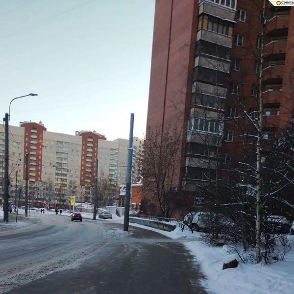 Источник: Комитет по благоустройству Санкт-Петербурга