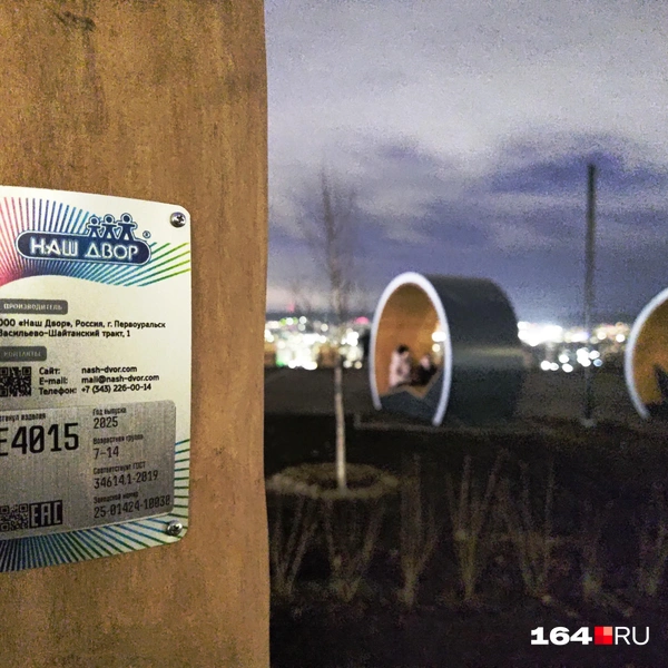 Источник: Сергей Гендин / 164.RU