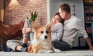 5 способов продлить жизнь своей собаке, которые действительно работают