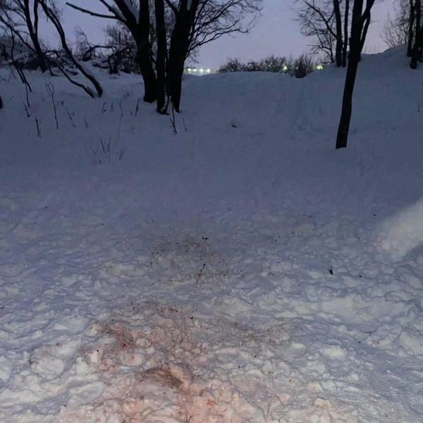 undefined Горка, на которой произошла трагедия, выглядит ужасающе | Источник: Иветта Авраамова
