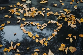 Чек-лист для сомневающихся в своих чувствах: 5 признаков того, что вы по-настоящему влюбились