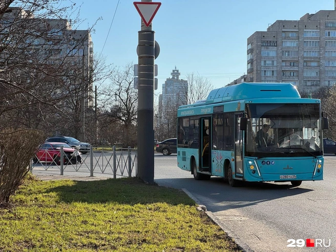Источник: Валерия Богатырёва