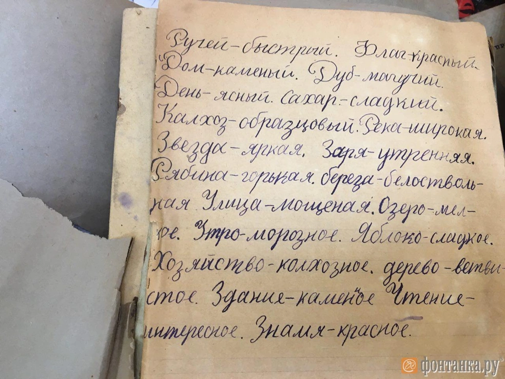 Источник: Венера Галеева