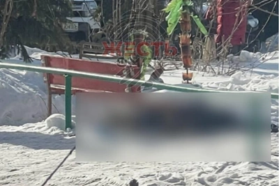 Тело мужчины обнаружено во дворе дома в Омске
