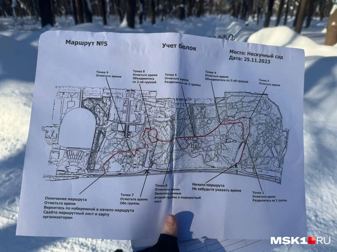 Так выглядела карта маршрута | Источник: Анастасия Харитонова / MSK1.RU