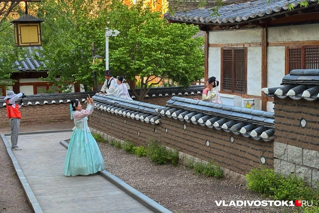 Источник: Елена Буйвол / VLADIVOSTOK1.RU