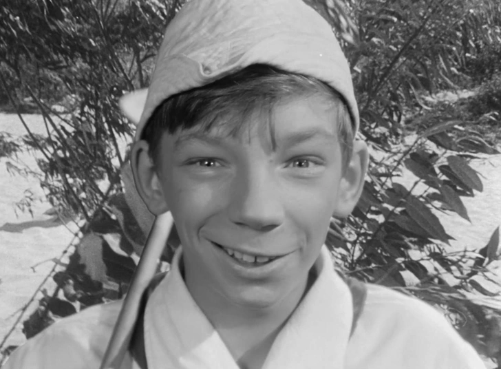 Источник: фильм «Добро пожаловать, или Посторонним вход воспрещен» (1964)