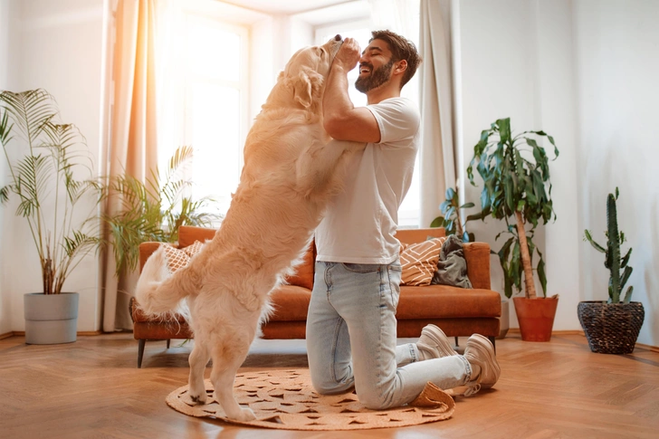 Как собака оберегает энергию хозяина | Источник: Shutterstock/Fotodom.ru