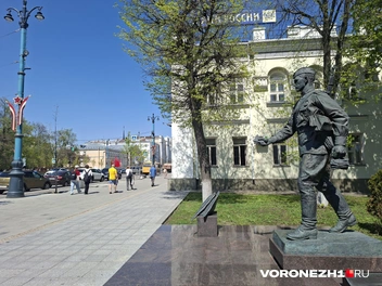 Источник: Алёна Воропаева / Voronezh1.ru