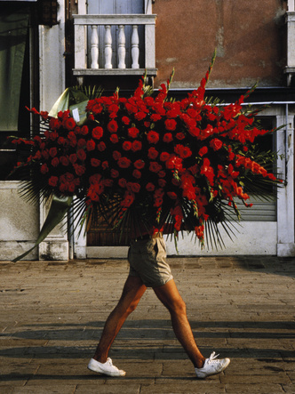 Цветочная астрология: какие букеты стоит дарить разным знакам Зодиака? (фото 1)