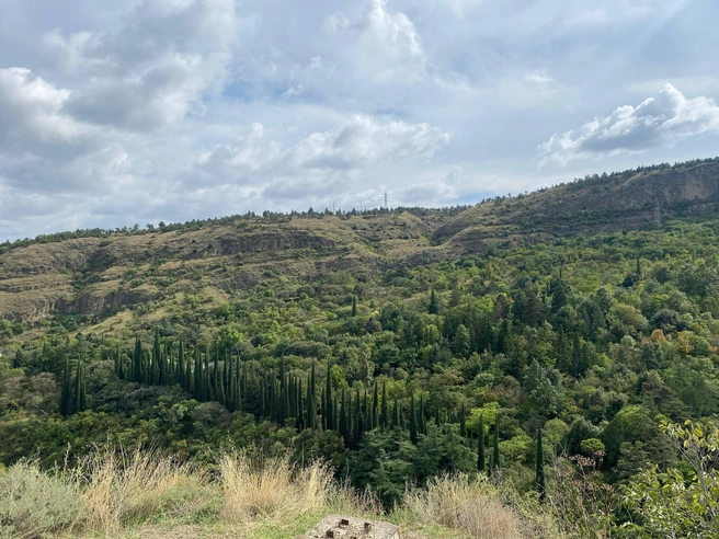 Природа Грузии | Источник: Вера Кузнецова