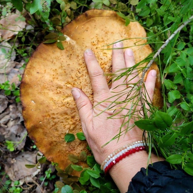 Взгляните, какой огромный | Источник: Солнечные зайчики / T.me