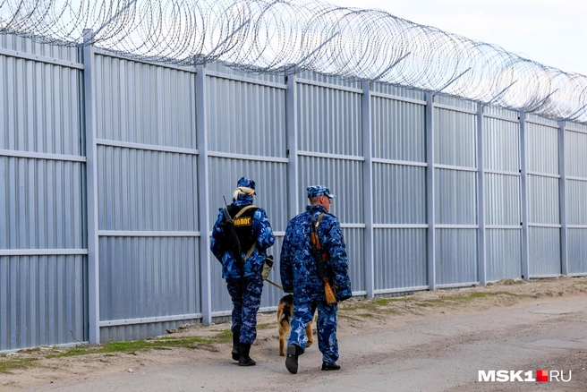 По словам адвоката, Михаил Ефремов в колонии занимался короткометражными фильмами | Источник: Артем Устюжанин / MSK1.RU